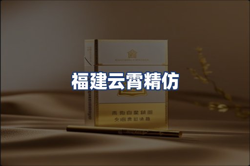 福建云霄精仿